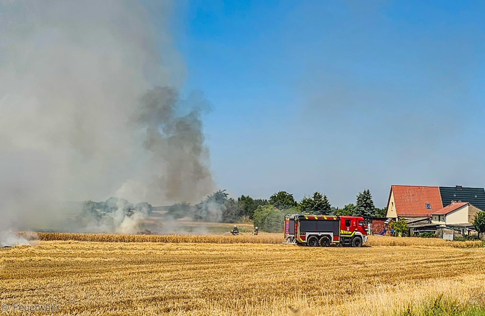 Einsatzfoto Brand B: Getreidefeldbrand - ...