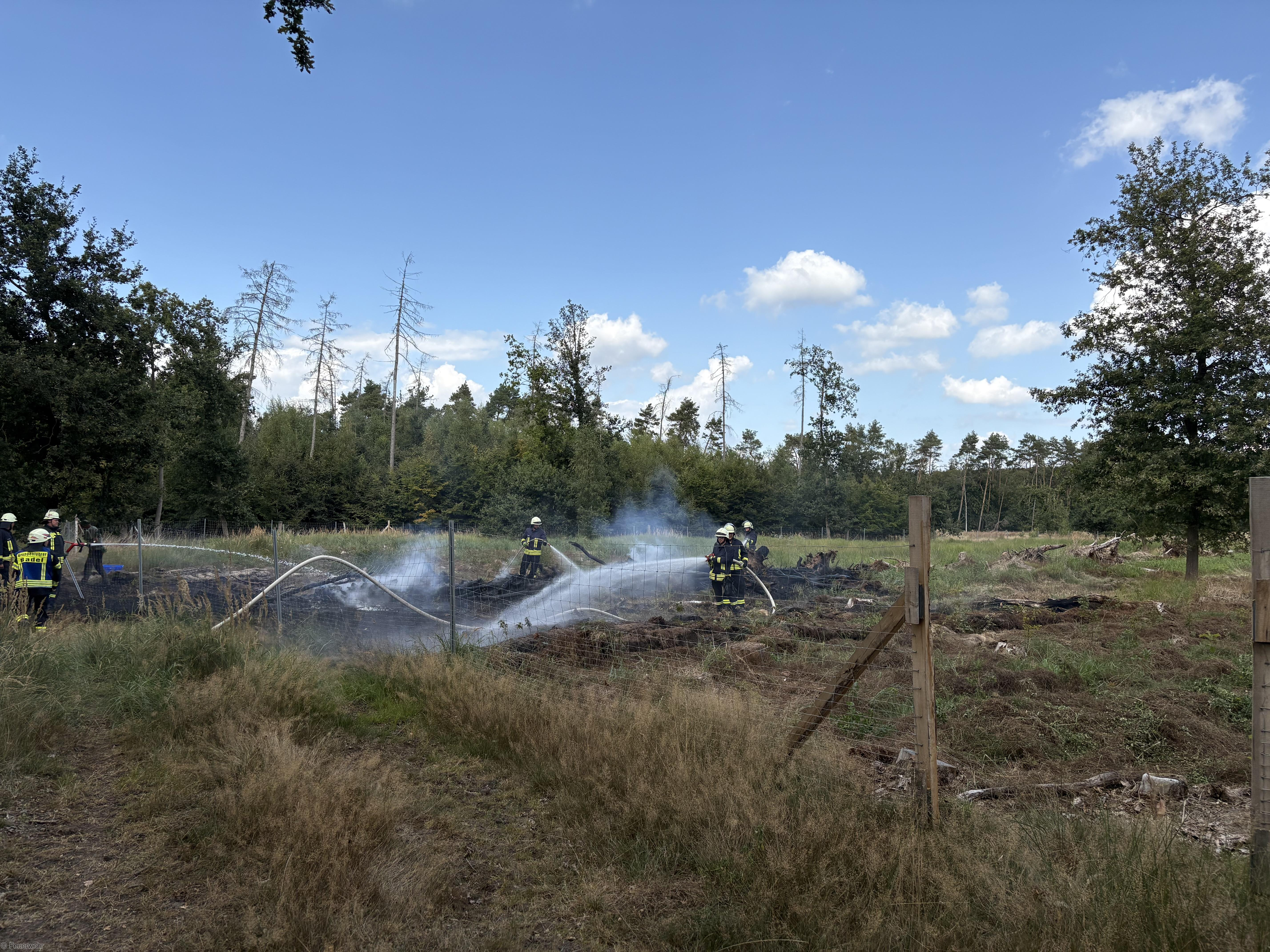 Einsatzfoto Brand B: Vegetation